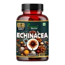 humming-herbs-echinacea-1050mg-with-tuls-819MD1YGMbL.jpg