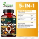 humming-herbs-echinacea-1050mg-with-tuls-81s4KJsTlIL.jpg