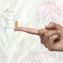 natures-answer-liver-support-herbal-comb-6.jpg