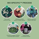 herbalist-alchemist-david-winstons-immun-4.jpg