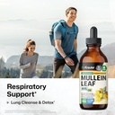 bio-krauter-lobelia-tincture-4-fl-oz-mul-6.jpg