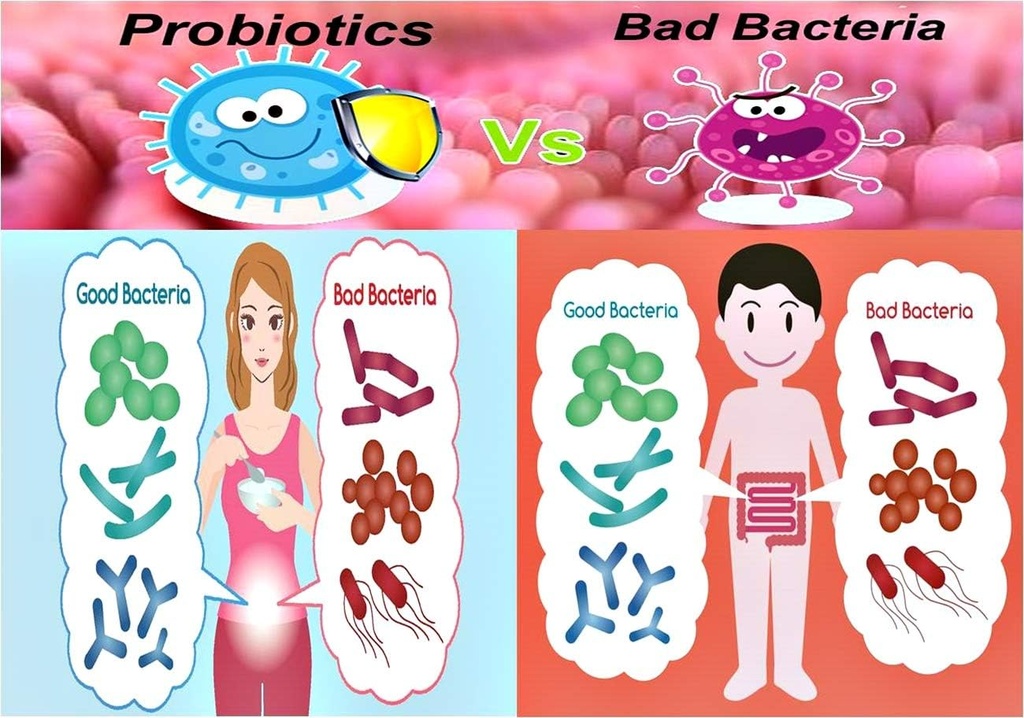 nova-probiotics-multi-strain-xtreme-care-4.jpg