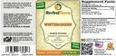 herbal-terra-llc-wintergreen-gaultheria--2.jpg