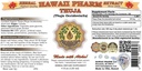 hawaiipharm-thuja-liquid-extract-thuja-t-2.jpg