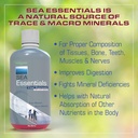 wellgenix-sea-essentials-vital-nutrients-5.jpg