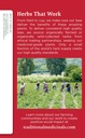 lemonechinacea-throat-coat-tb-16-4.jpg