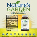 kelp---90-veggie-caps-3.jpg