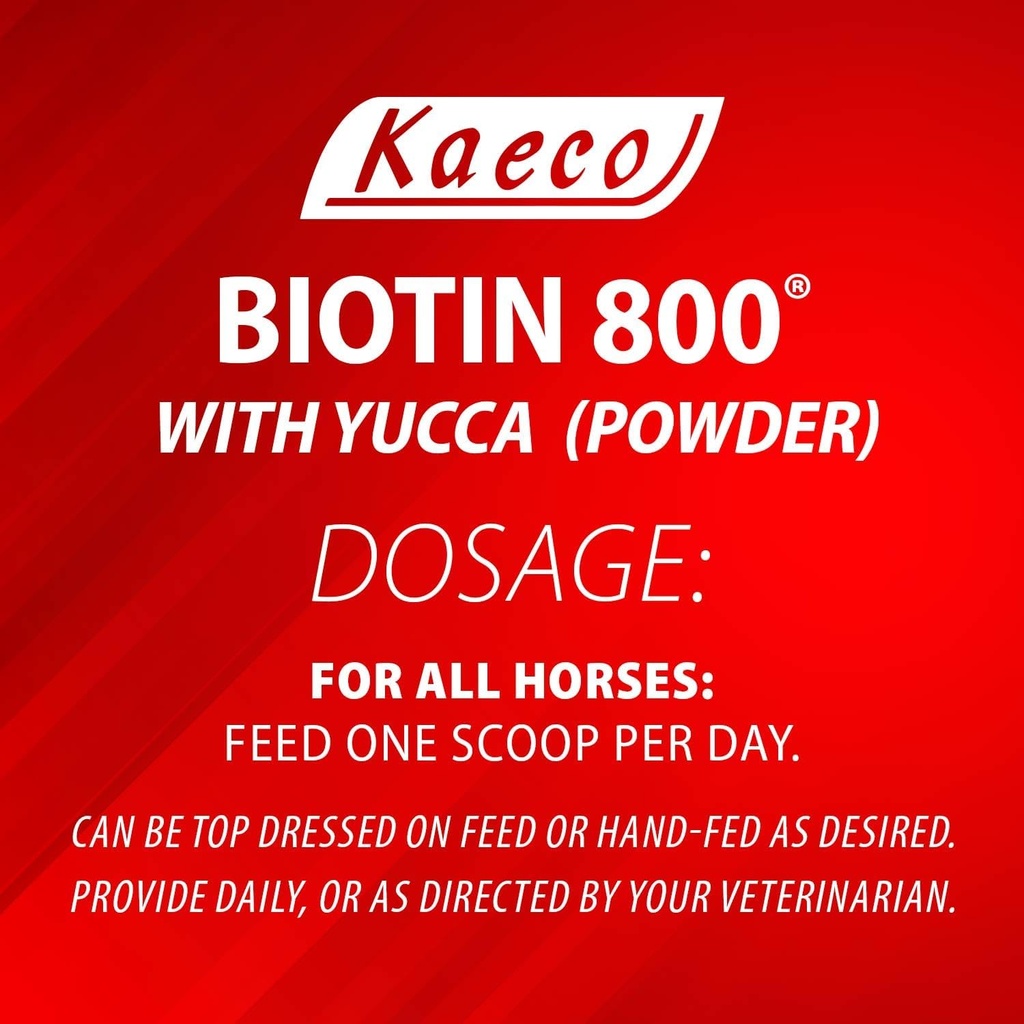 biotin-800-powder-3.jpg
