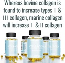 shizam-retinol-multi-vitamin-collagen-w--3.jpg