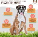 natural-dog-company-urinary-and-multivit-5.jpg