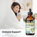 bio-krauter-olive-leaf-tincture-4-fl-oz--2.jpg