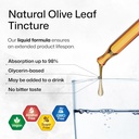 bio-krauter-olive-leaf-tincture-4-fl-oz--4.jpg