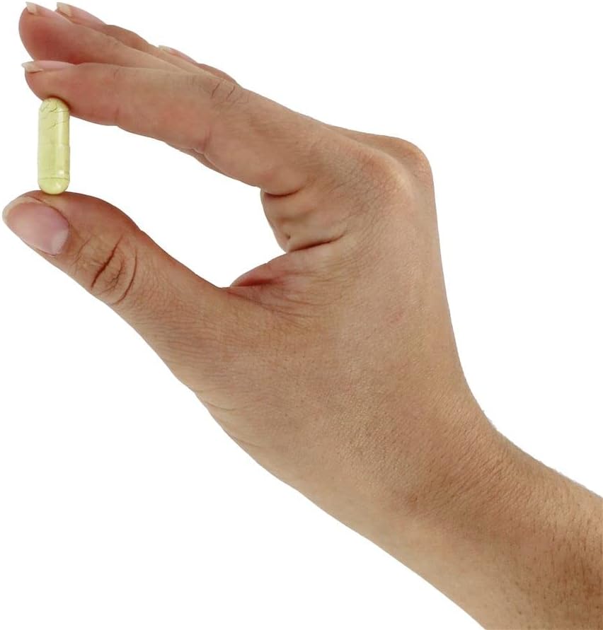 now-foods-rutin-450-mg---100-veg-capsule-4.jpg