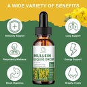 mullein-drops-for-lungs-mullein-leaf-ext-3.jpg