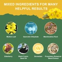 mullein-drops-for-lungs-mullein-leaf-ext-4.jpg