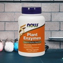 plant-enzymes-veg-capsules-2.jpg