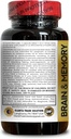 brain-memory-supplements---energy-learni-2.jpg