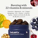 petlab-co-allergy-multivitamin-bundle-on-6.jpg