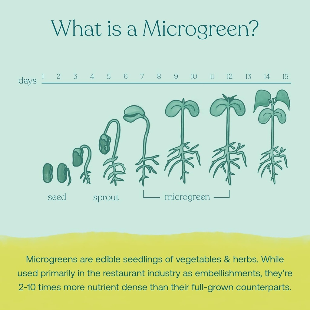 true-grace-broccoli-microgreens---04-oz--4.jpg