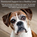 rx-vitamins-liquid-hepato---liquid-liver-3.jpg