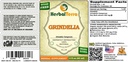 grindelia-grindelia-camporum-tincture-dr-2.jpg