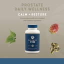 balanced-vibe-mens-bundle---prostate-and-2.jpg