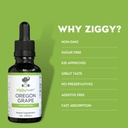 premium-organic-oregon-grape-root-tinctu-2.jpg