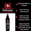 equine-skin-relief-spray-for-horses-help-3.jpg