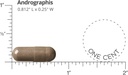doctors-preferred-andrographis-extract---3.jpg