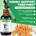 pet-kidney-support-for-dogs-veterinarian-2.jpg