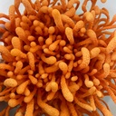 hodgins-harvest-organic-lions-mane-cordy-5.jpg