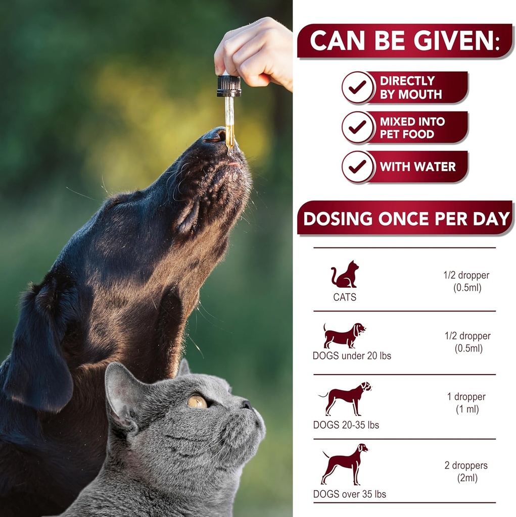 natural-cat-dog-intestinal-defense---her-6.jpg