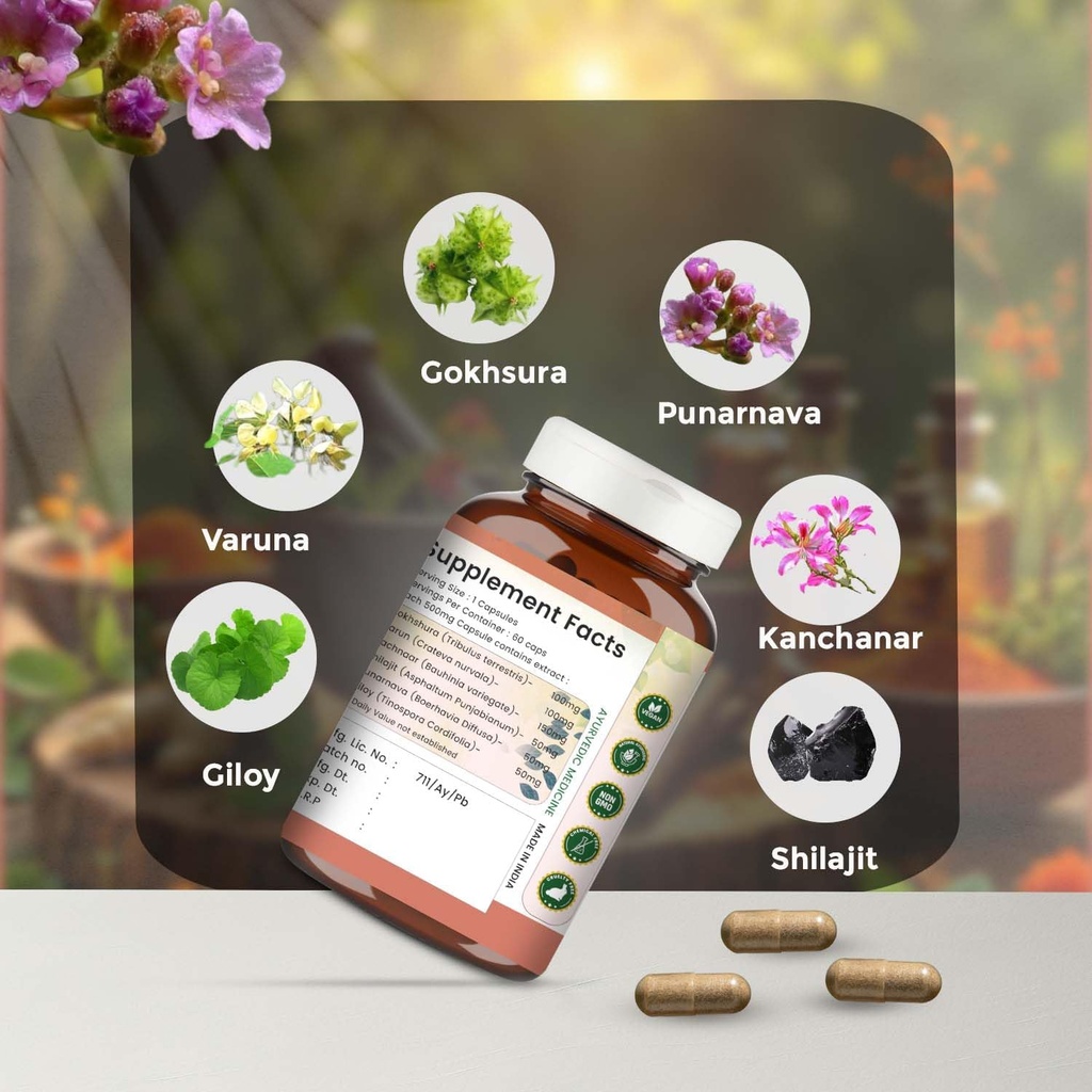 prostocalm-ayurvedic-supplement-for-pros-6.jpg