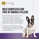 mycodog-clarity---cognitive-support-supp-6.jpg