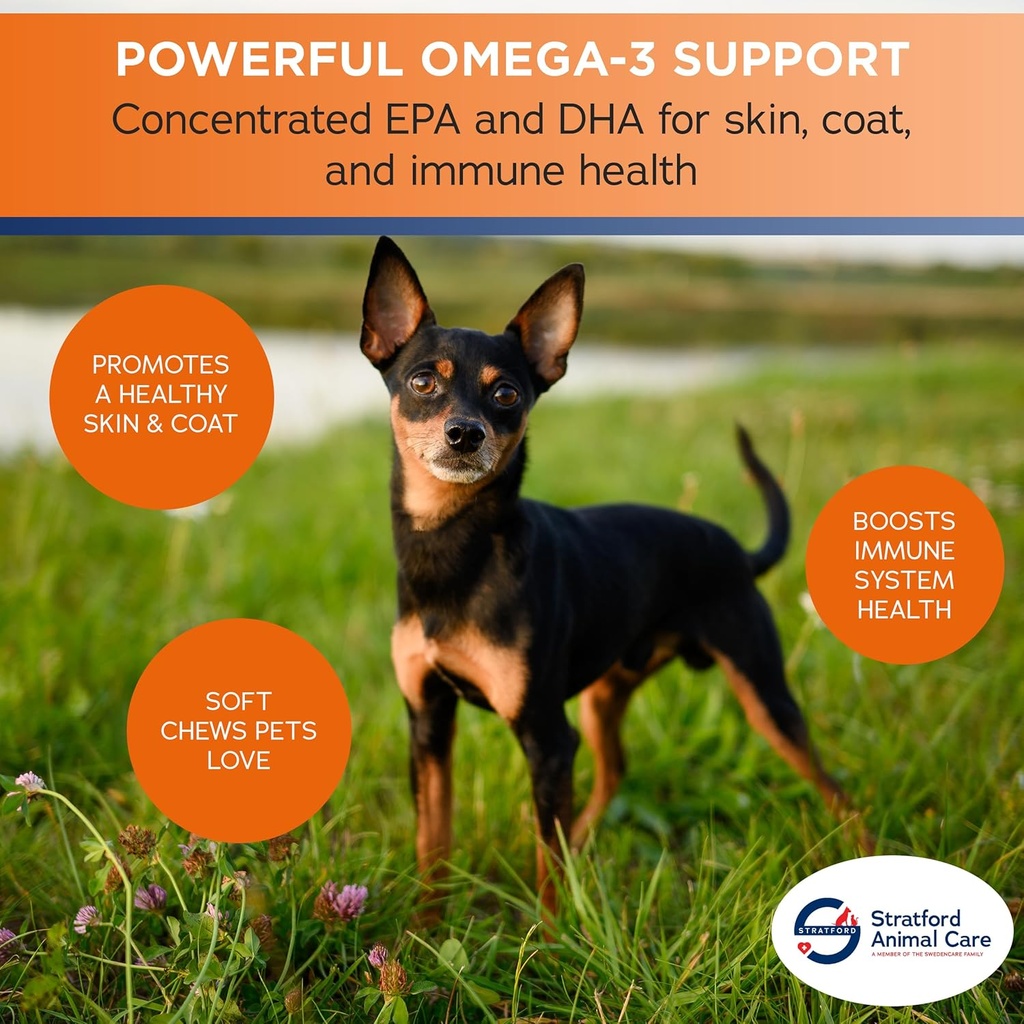 stratford-pharmaceuticals-ez-chew-omega--4.jpg