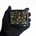 7-days-chromed-shiny-silver-pill-organiz-2.jpg