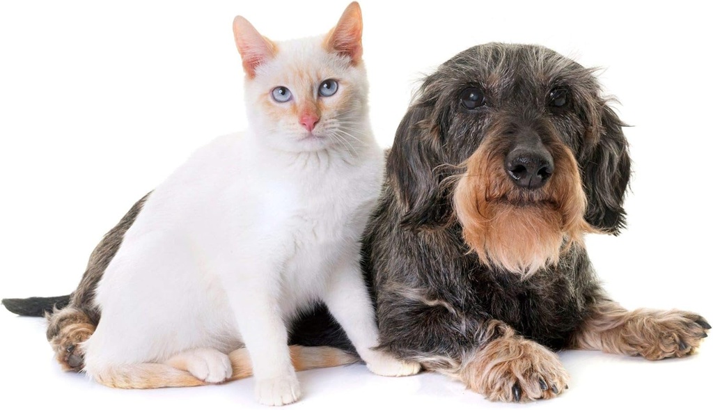 dog-urinary-supplement---pets-urinary-he-3.jpg