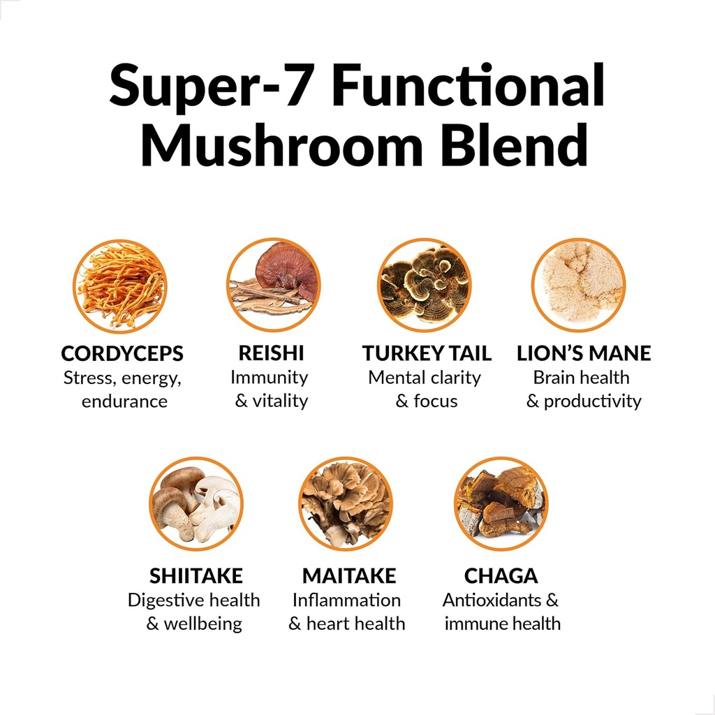 force-factor-modern-mushrooms-powder-mus-4.jpg