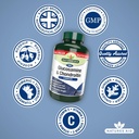 glucosamine-500mg-chondroitin-100mg-comp-4.jpg