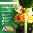 cortisol-supplements-for-women-10-in-1-c-5.jpg
