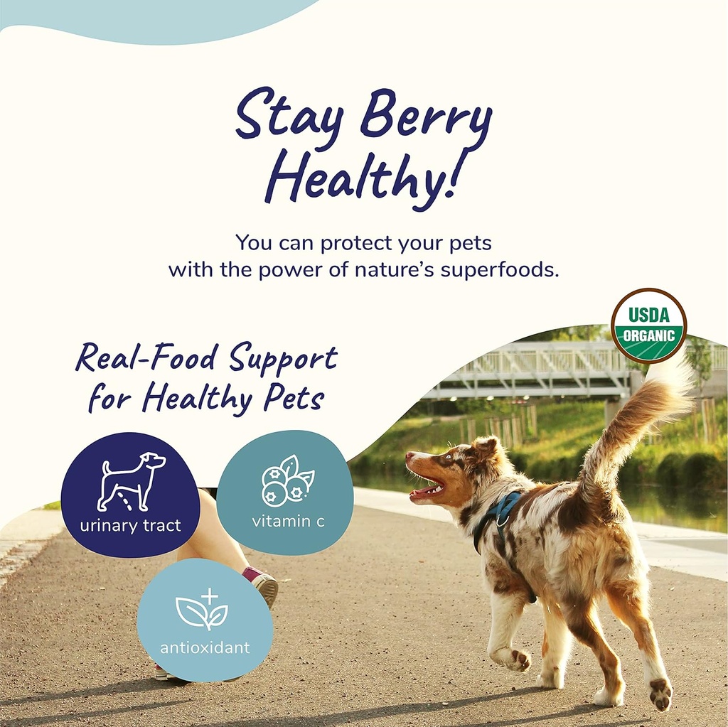 kinkind-dog-supplement-powder---suppleme-4.jpg