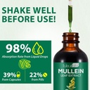 mullein-leaf-extract-for-lungs-mullein-d-2.jpg
