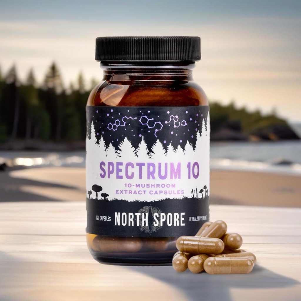 north-spore-organic-spectrum-10-mushroom-2.jpg