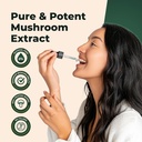 nano-lions-mane-mushroom-tincture---fast-5.jpg
