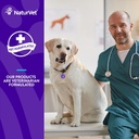naturvet-evolutions-anchovy-allergy-join-5.jpg