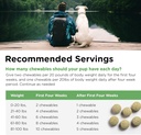 nutri-vet-grass-guard-chewables-lawn-bur-4.jpg