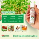 invinutri-superfood-powder-for-picky-eat-3.jpg