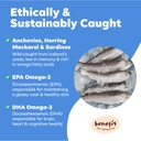 omega-3-fish-oil-for-dogs---120-softgels-4.jpg