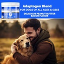 mediipet-7-mushrooms-immune-chews---mush-6.jpg