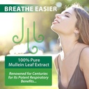 2-pack-mullein-drops-for-lungs-natural-m-2.jpg
